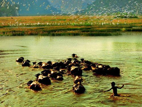 Hotel Emeralda Resort Ninh Binh