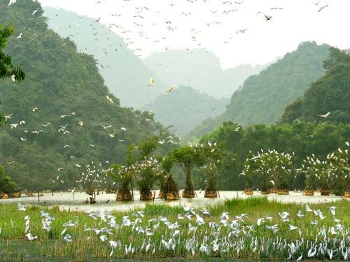 Hotel Emeralda Resort Ninh Binh