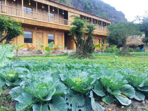 Hostal Ham Rong Homestay