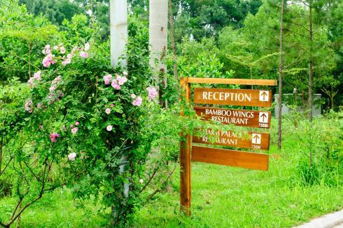 Hotel Flamingo Dai Lai Resort