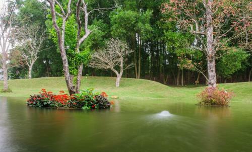 Hotel Flamingo Dai Lai Resort