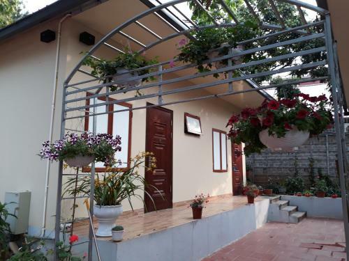 Bed & Breakfast Truc Linh Bungalow