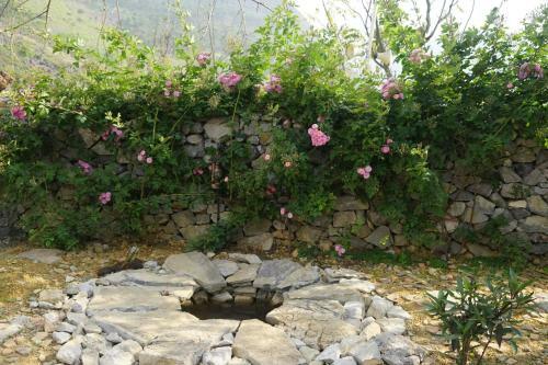 Albergue Lolo Guesthouse Meo Vac