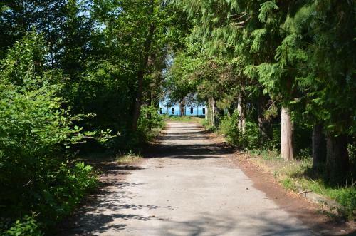 Posada Solnechny Bereg Guest House