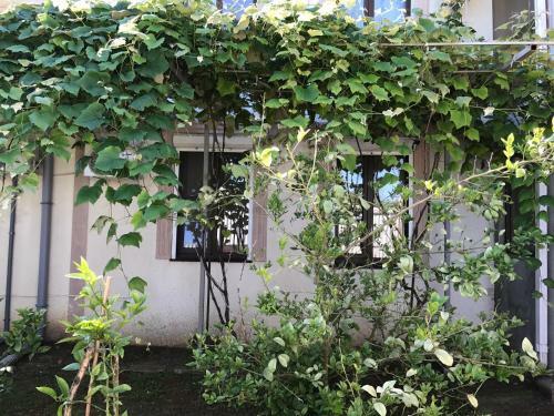 Hostal Vse Dlya Vas Guest House