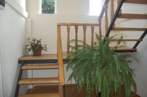 Hostal Guest House "marina"