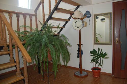 Hostal Guest House "marina"