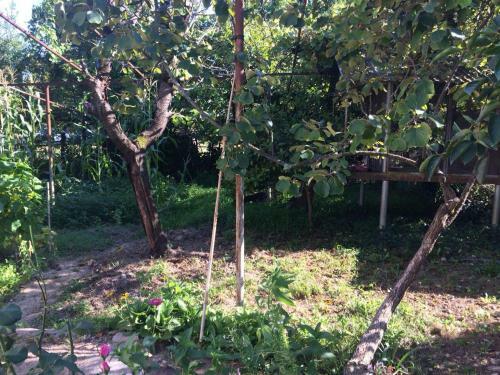 Hostal Guest House Nartaa