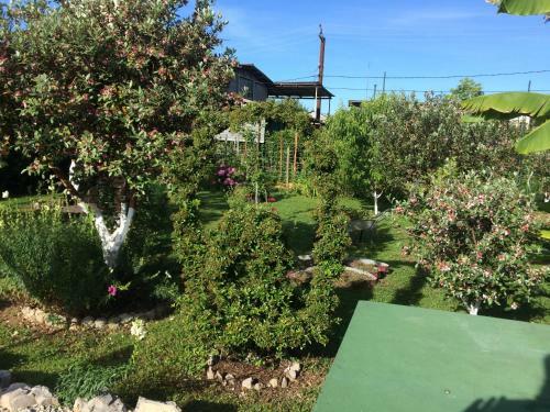 Hostal Guest House Gelios