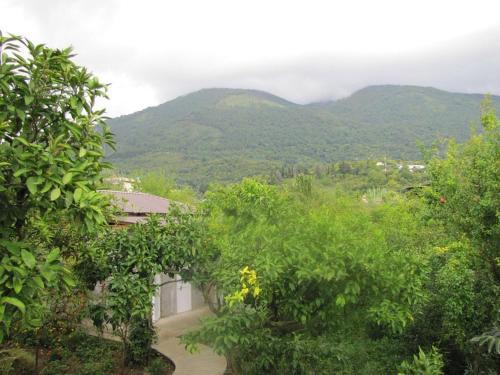 Hostal Guest House Zelenyi Dvorik