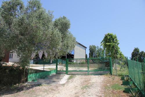 Hostal Guesthouse Aza&karlen