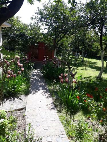Hostal Guest House Mimoza