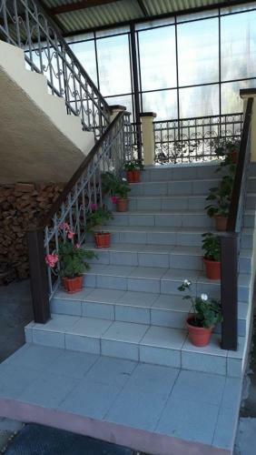 Hostal Guest House Mimoza
