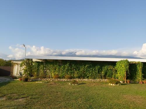 Posada Guest House Miya