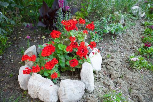 Hostal ??????????? 318