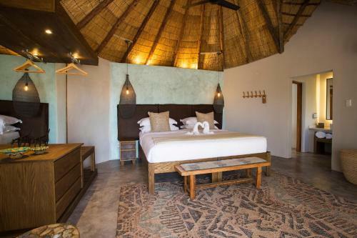 Lodge Misava Safari Camp - Klaserie Drift