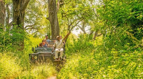 Karongwe River Lodge