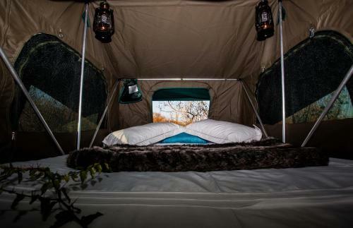 Ximongwe Safari Camp