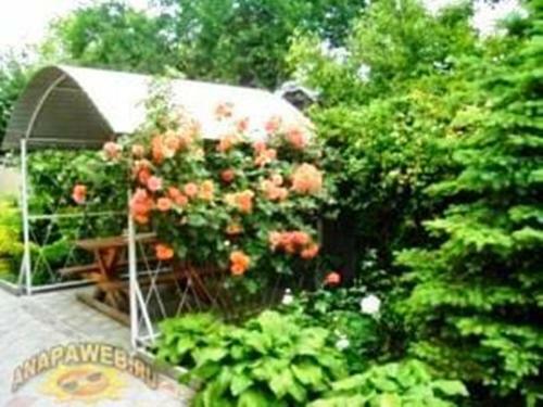 Hostal Na Sadovoy Guesthouse