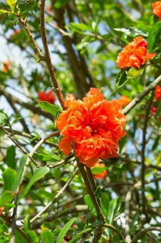 Agroturismo Turisti?na Kmetija ?tanfel