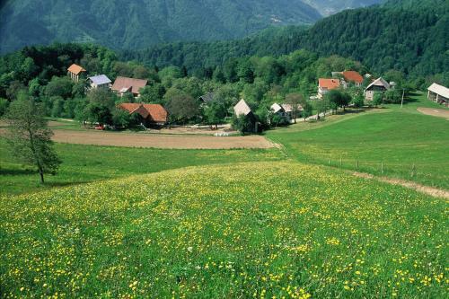 Agroturismo Farm Pri Flandru