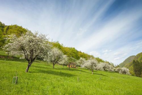 Agroturismo Tourist Farm Zelinc