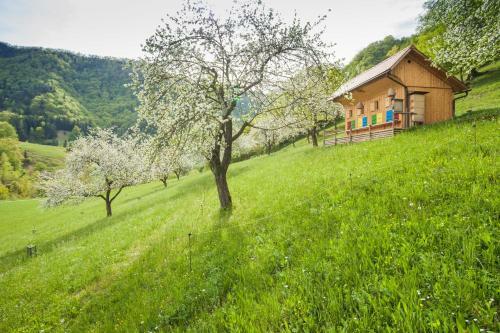 Agroturismo Tourist Farm Zelinc