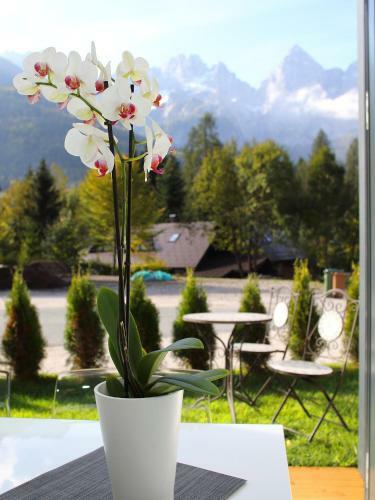 Apartments Edelweiss Boutique