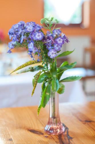 Agroturismo Country House Slemen?ek