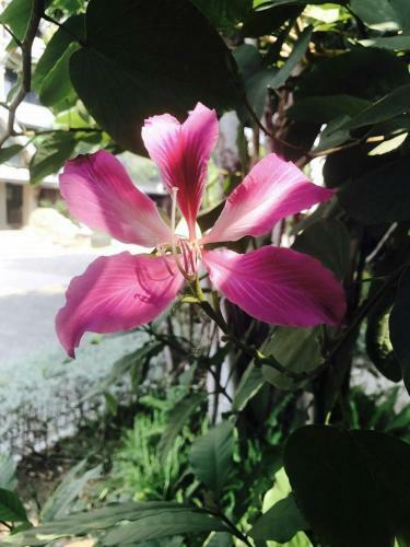 Tournesol Boutique Hotel