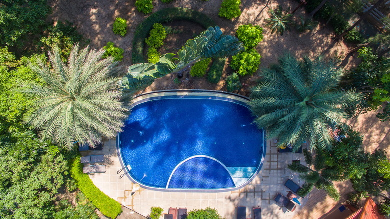 Hotel Rocky Point Resort