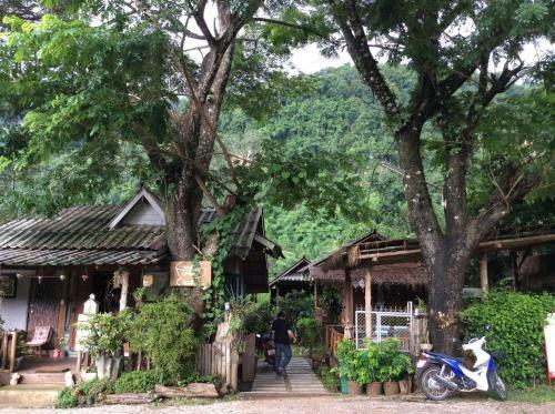 Hotel Chiang Dao Hut Resort