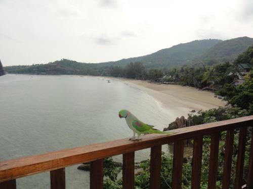 Hotel High Life Bungalow