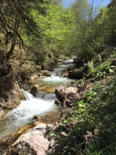 Hostal Nesilce Tatil K�y�