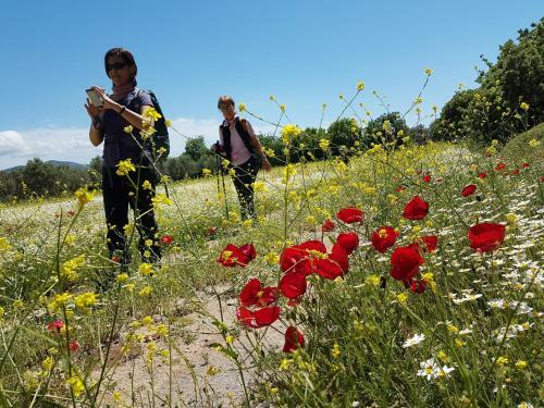 Agroturismo Alterna K�y Evi