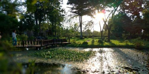 Amrita Green Retreat