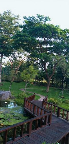 Amrita Green Retreat