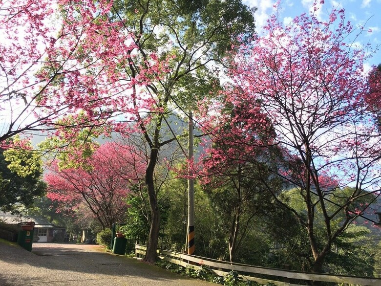 Bed & Breakfast Xianshan Homestay