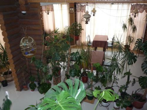 Motel Hotel Restaurant Complex Boyarskiy Dvor