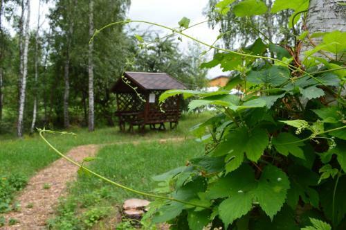 Camping In Nature Park Beremytske