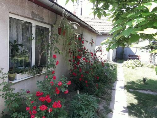 House Near Thermal Pool