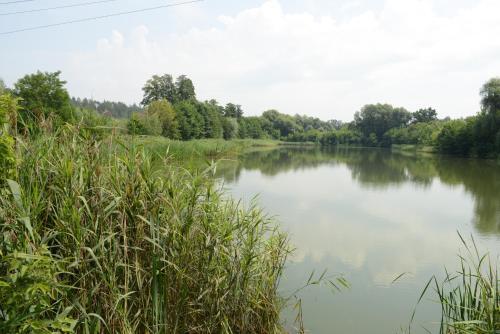 Agroturismo Perlyna Dzvinkova