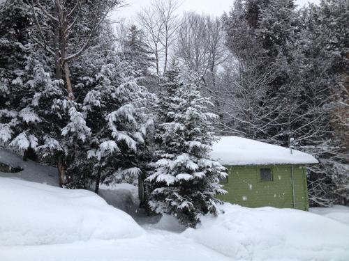 The Woods Lodge