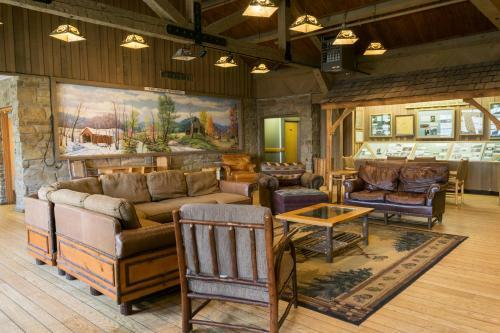 Hotel Abe Martin Lodge & Cabins