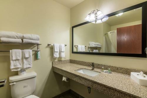 Hotel Cobblestone Inn & Suites - Soda Springs