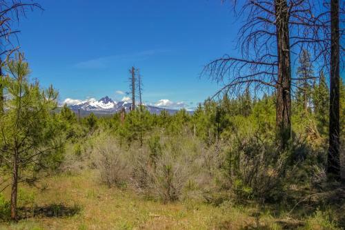 Cabin In The Pines - Black Butte Ranch Sm 144
