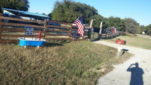 Constantino Farms
