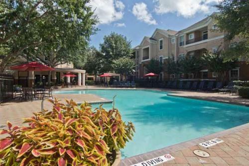 (428) Apartment Near Sugar Land