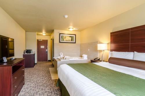 Hotel Cobblestone Inn & Suites - Oberlin