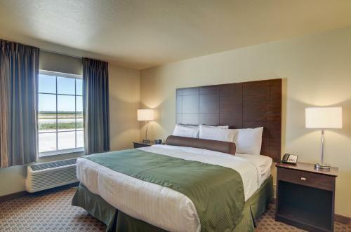 Hotel Cobblestone Inn & Suites - Oberlin